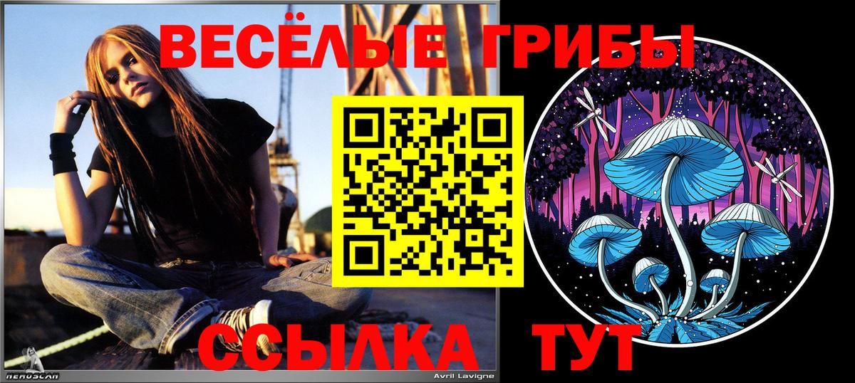 Псилоцибиновые грибы Magic Shrooms Лыткарино