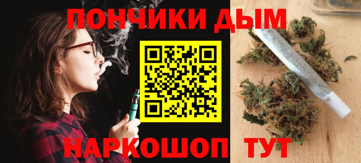 Каннабис сатива Лыткарино
